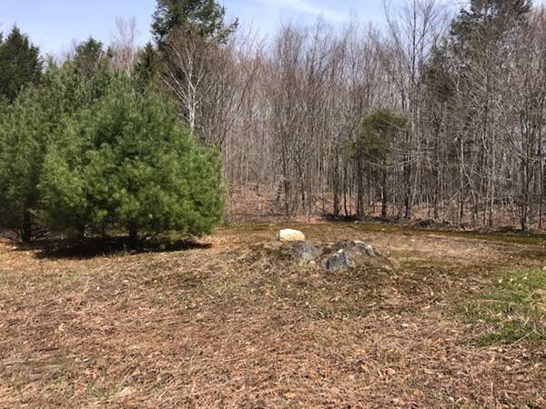 Ashfield, MA 01330,44 ACRES Spruce Corner