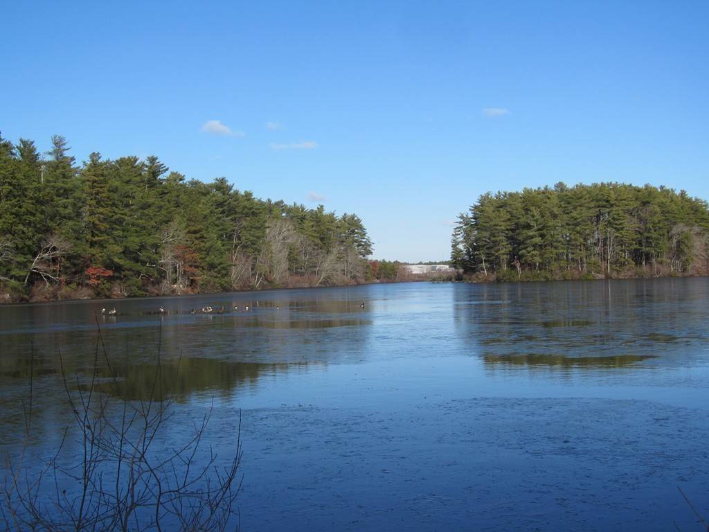 Carver, MA 02330,20-4 South Meadow Village