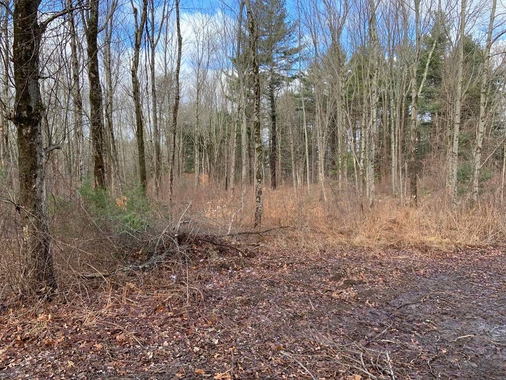 Sutton, MA 01590,199 Mendon Rd. (Lot 3)