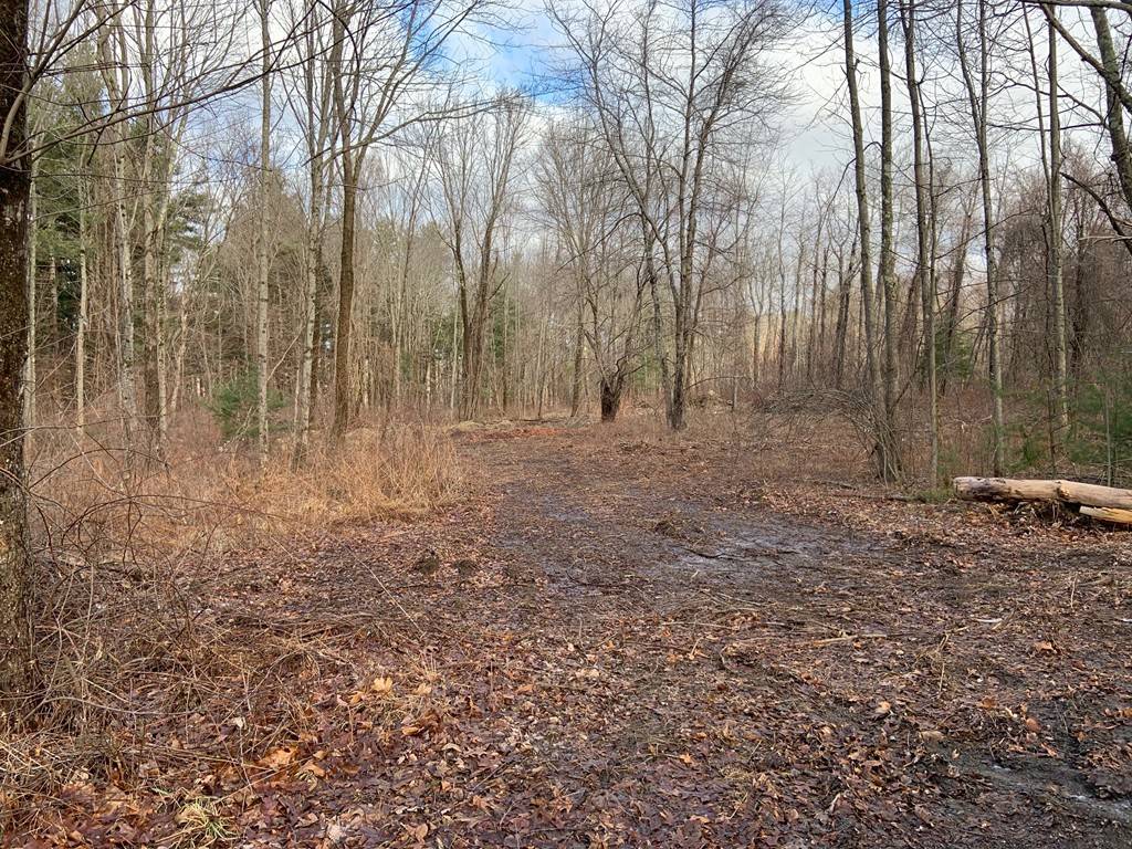 Sutton, MA 01590,199 Mendon Rd. (Lot 3)