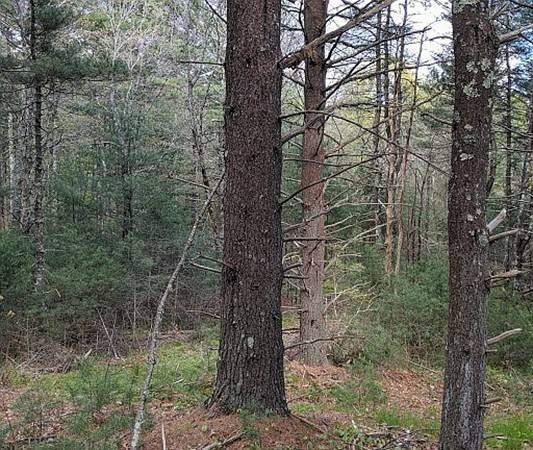 Plympton, MA 02367,0 Prospect Road - Lot 1