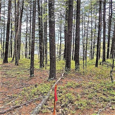 Plympton, MA 02367,0 Prospect Road - Lot 1