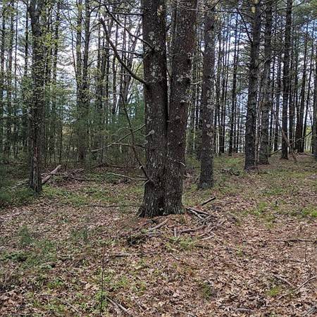 Plympton, MA 02367,0 Prospect Road - Lot 2