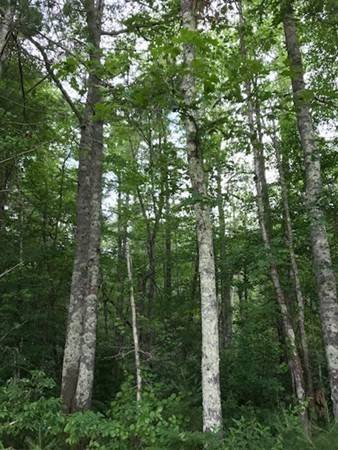 Plympton, MA 02367,0 Prospect Road - Lot 2