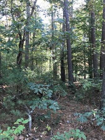 Plympton, MA 02367,Lot B West St.