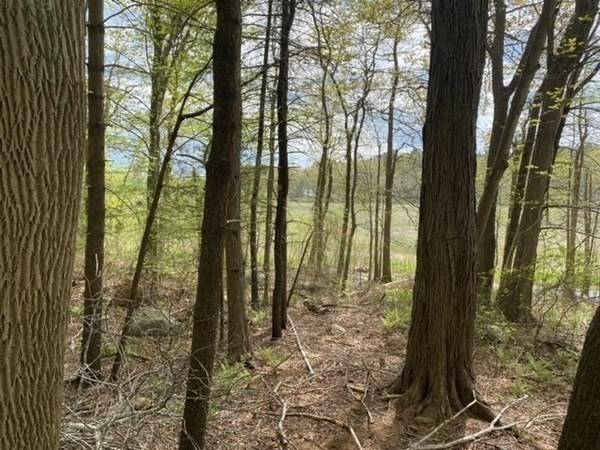 Norwell, MA 02061,0 Stony Brook Lane