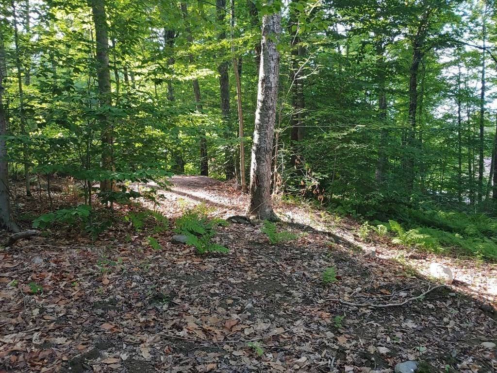 Heath, MA 01346,21 Lakeview Drive