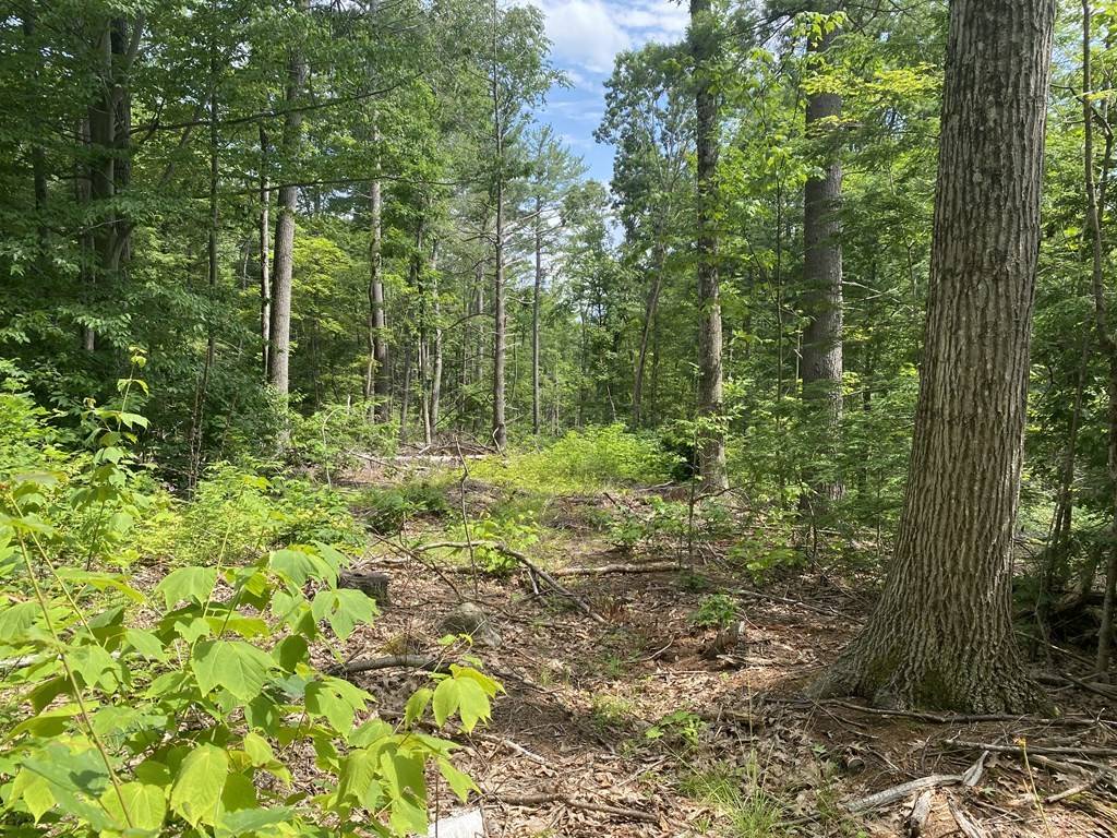 Buckland, MA 01338,Lot 1 Howes Rd