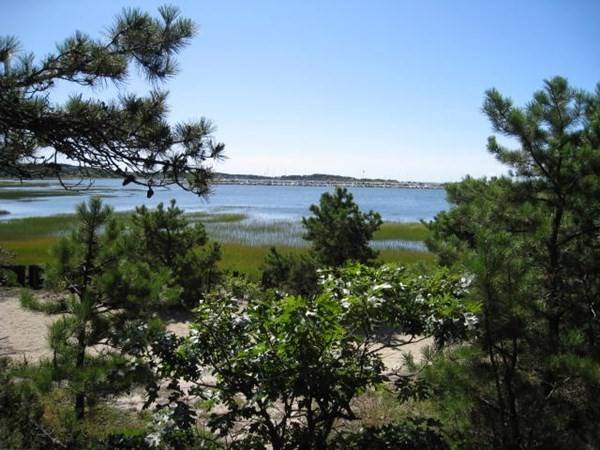 Wellfleet, MA 02667,125 Pine Point Rd