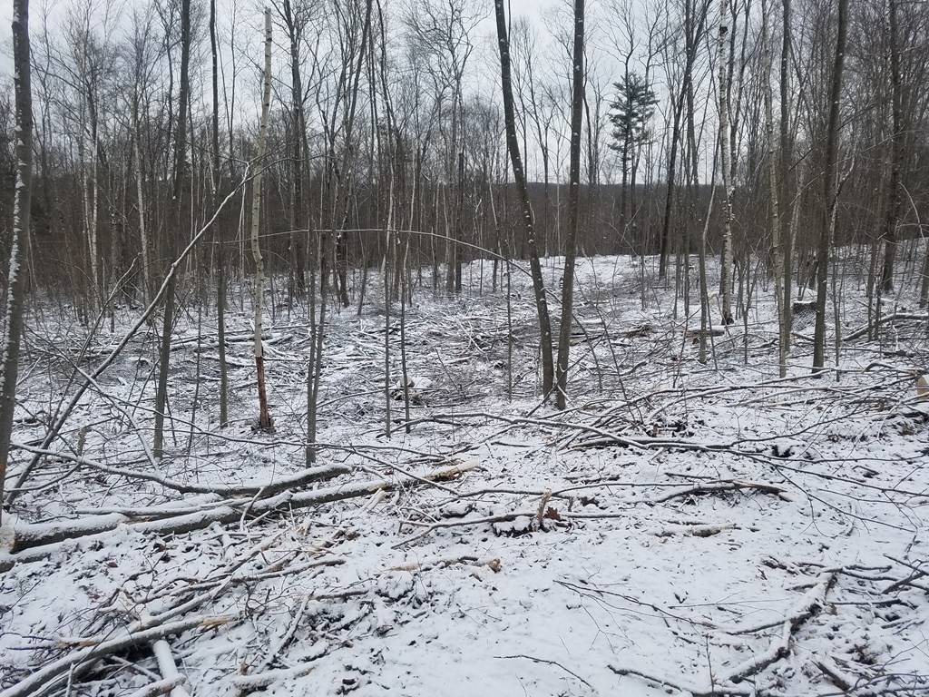 Warren, MA 01083,Lot 3 Bemis Rd