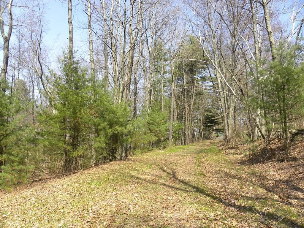 Ludlow, MA 01056,Lot 0 Center St