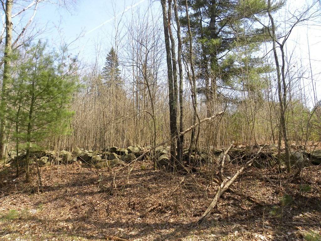 Ludlow, MA 01056,Lot 0 Center St