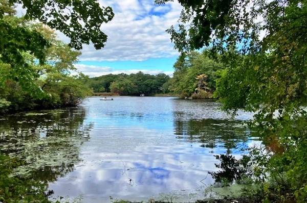Newton, MA 02466,40 Kingswood Rd