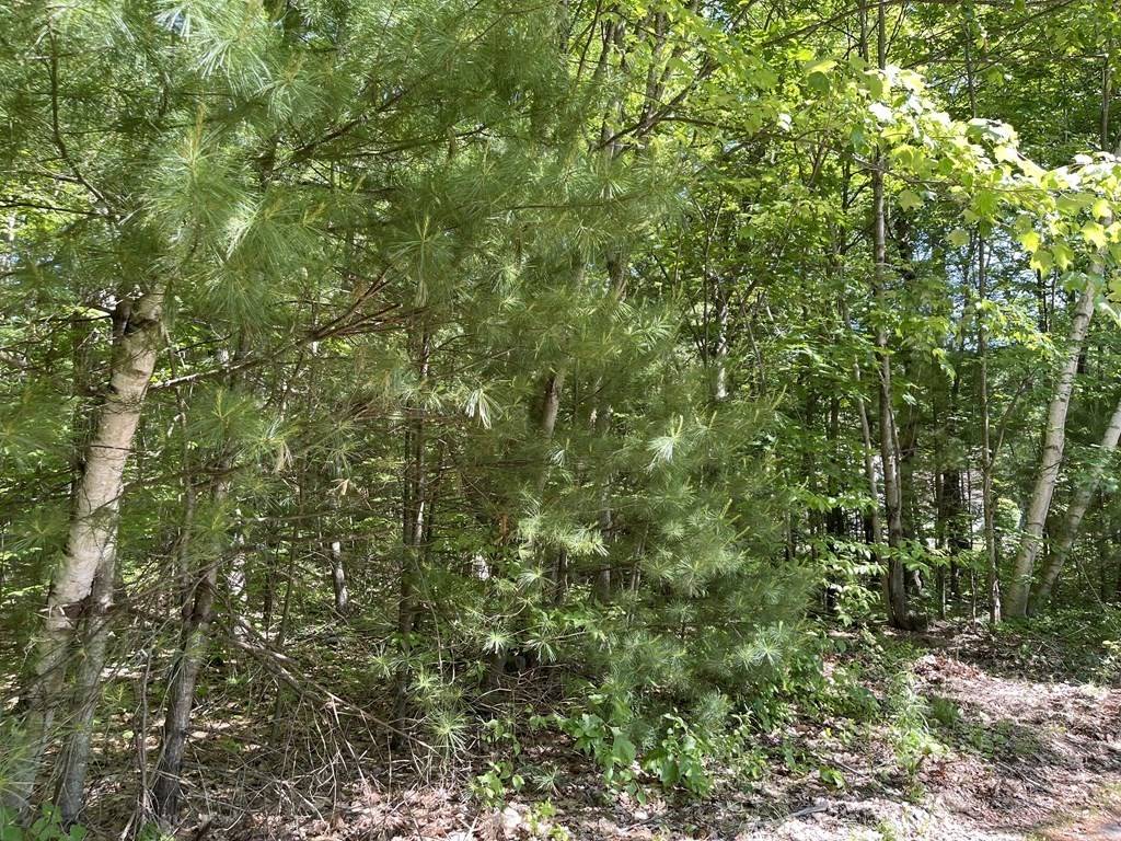 Belchertown, MA 01007,Lot 26.1 Azalea Way