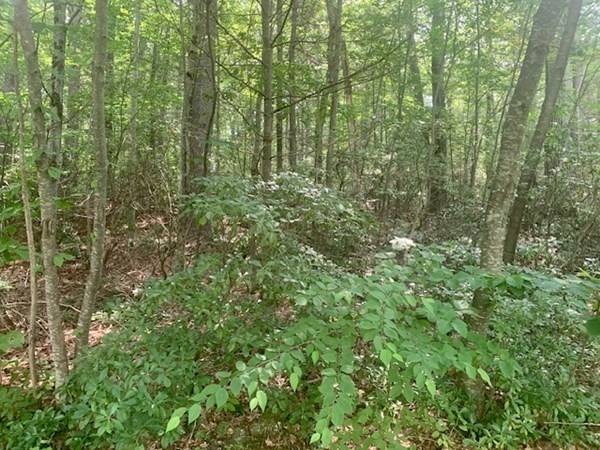 Ashby, MA 01431,Lot 5 Richardson Rd