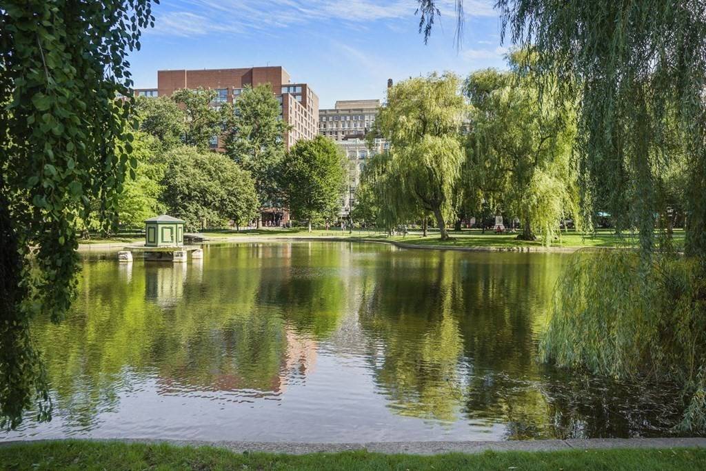 Boston, MA 02116,250 Boylston St #3A