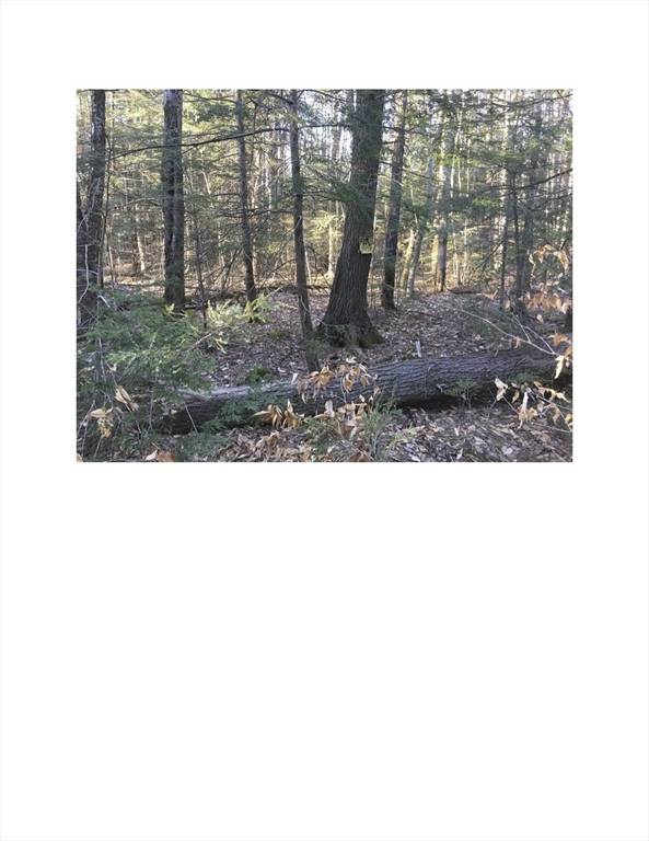 Chesterfield, MA 01012,Lot 2 Bissell Rd