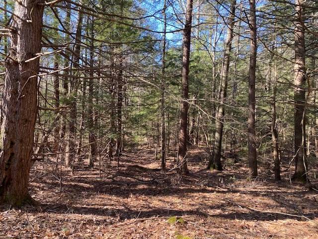 Hubbardston, MA 01452,0 Healdville Rd
