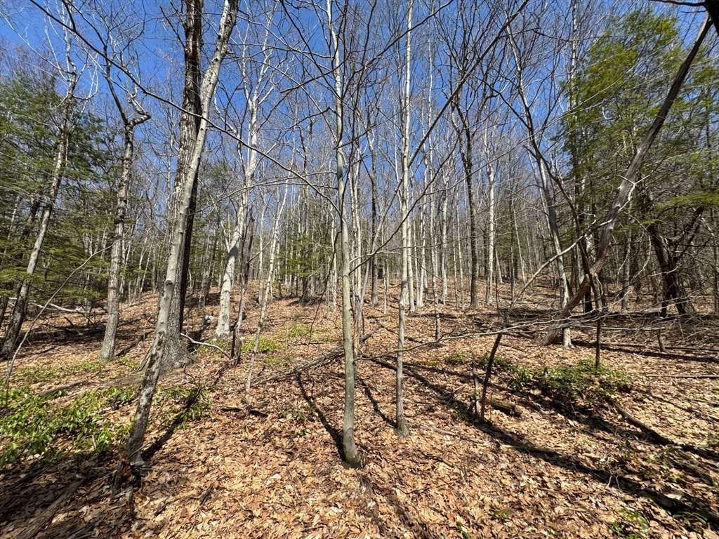 Bernardston, MA 01337,544 Fox Hill Rd (Vacant Land)