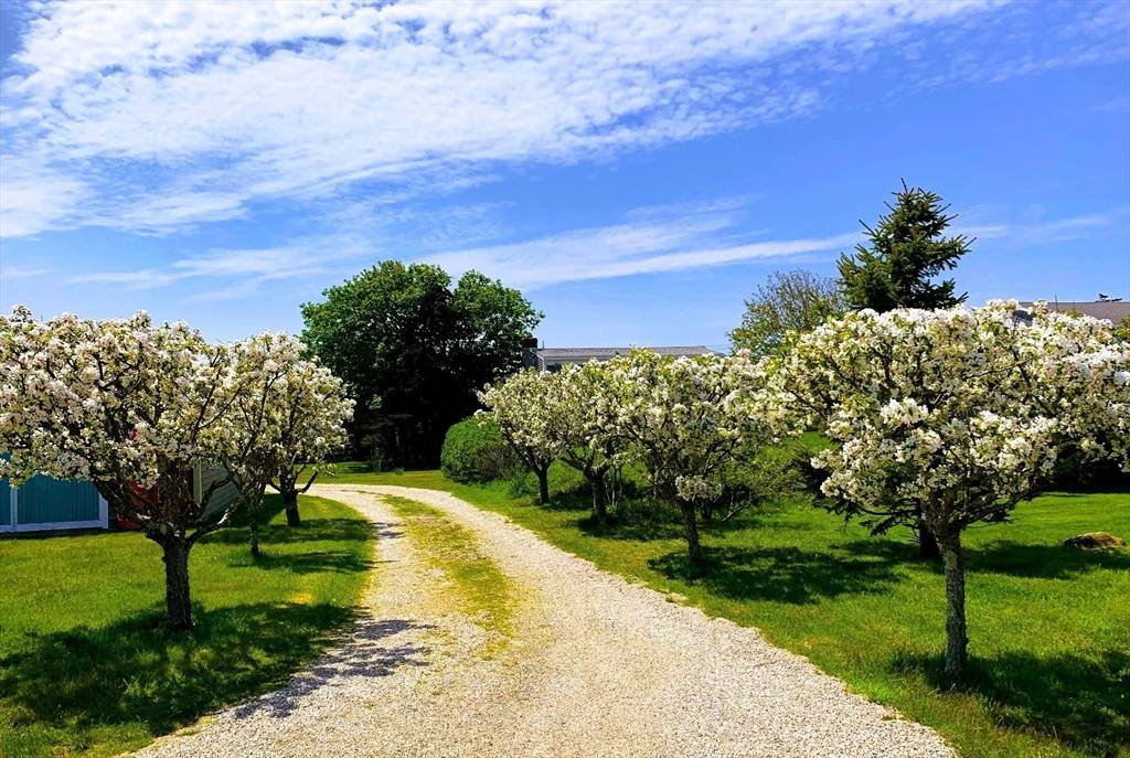 Orleans, MA 02653,85 Nauset Heights Road