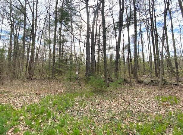 Petersham, MA 01366,27 New Athol Rd Lot 408/77-6