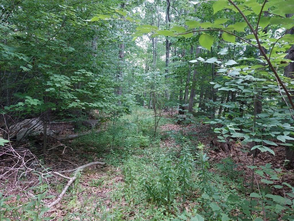 Westminster, MA 01473,65 North Common Rd
