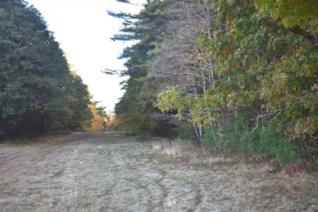 Freetown, MA 02717,0 Lydia Wood Lot