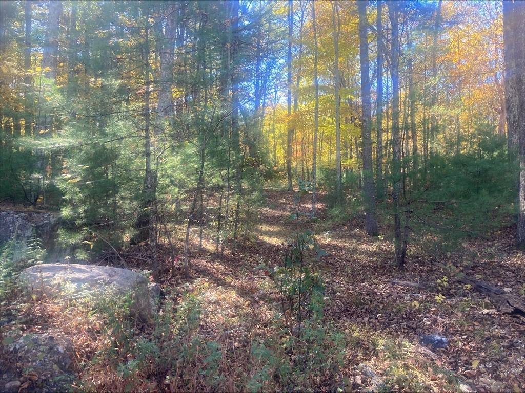 Douglas, MA 01516,0 White Ct (Lot 1)