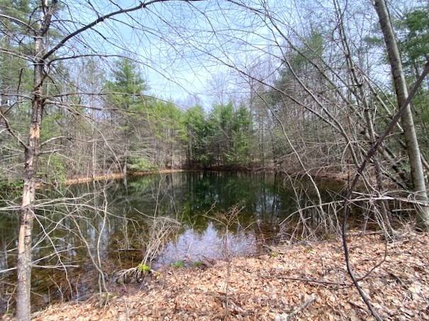 Petersham, MA 01366,27 New Athol Rd Lot 408/77-7