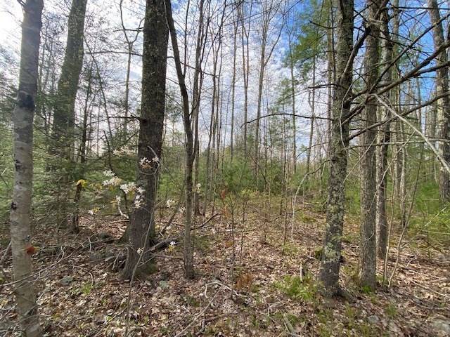 Petersham, MA 01366,27 New Athol Rd Lot 408/77-11