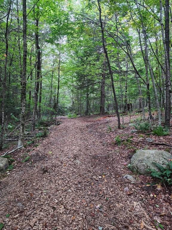 Otis, MA 01253,0 Churchill Rd