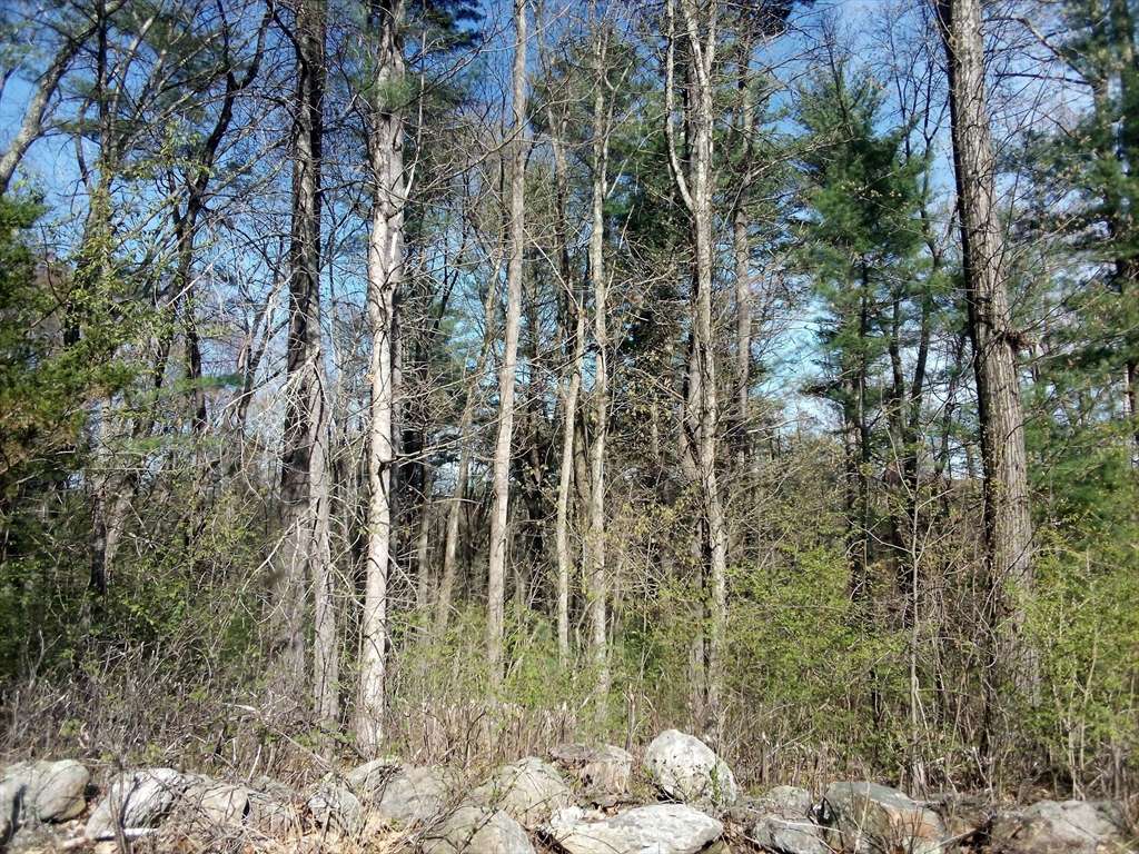 West Brookfield, MA 01585,234 Wickaboag