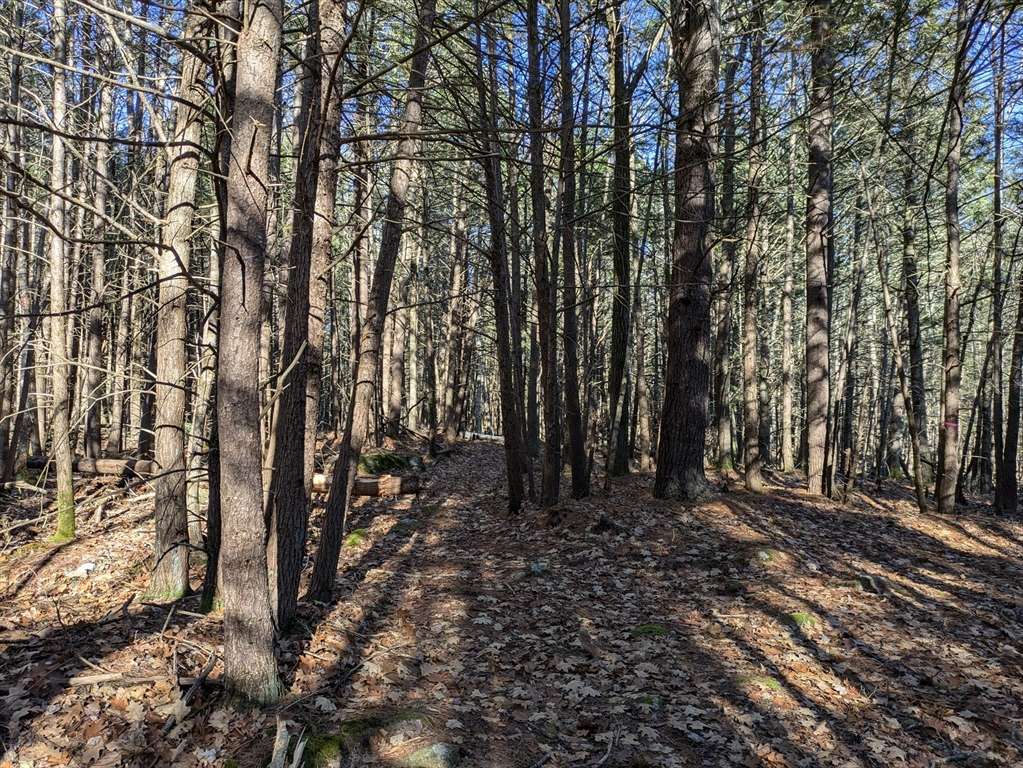 Phillipston, MA 01331,Lot 1 Willis Rd