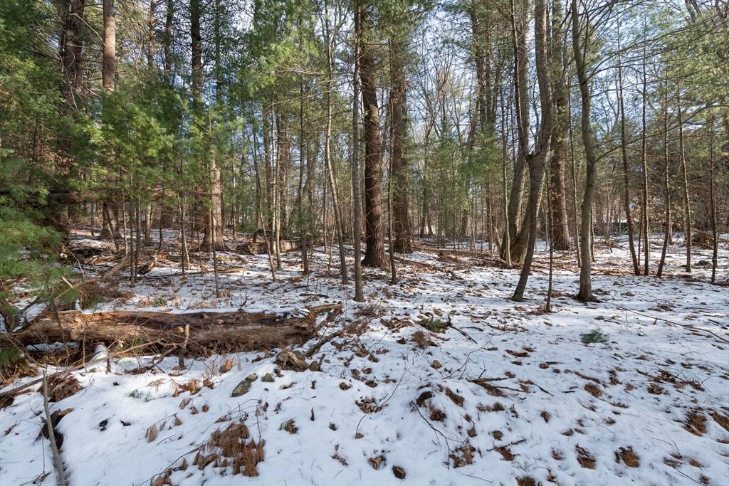 Weston, MA 02493,55 Spruce Hill Road