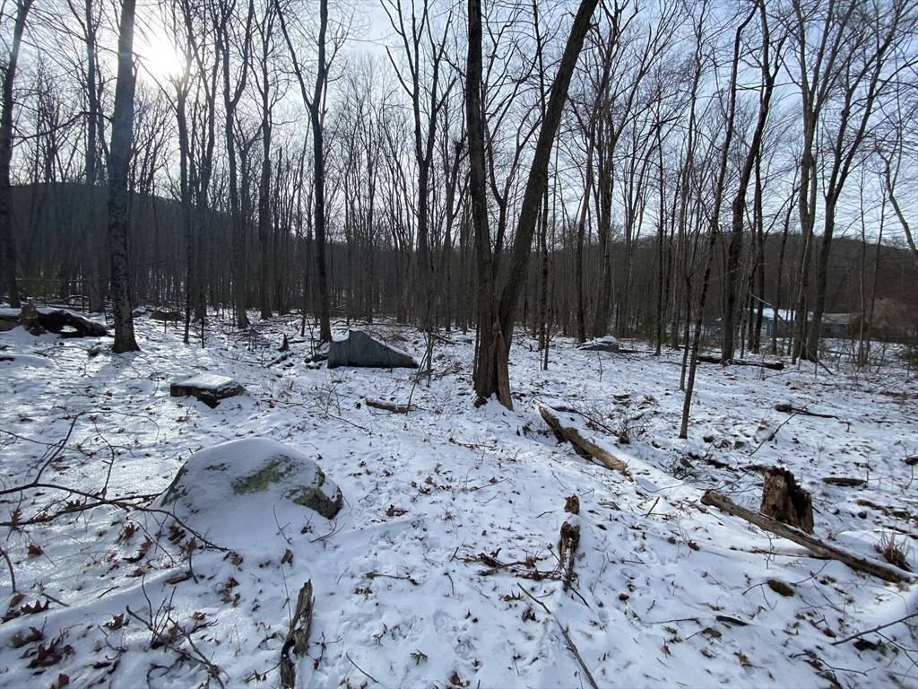 Hampden, MA 01036,Lot 2R &3 Chapin Rd