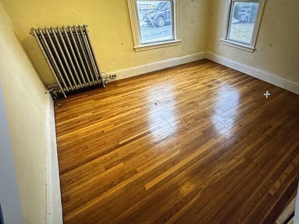 Boston, MA 02135,113 Lanark #1