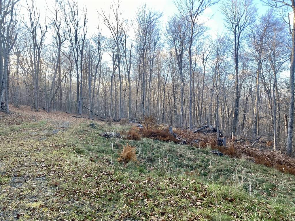 Heath, MA 01346,76 Shawnee Dr