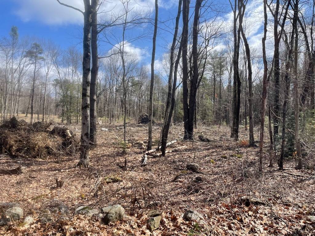 Oakham, MA 01068,28 Edson Road