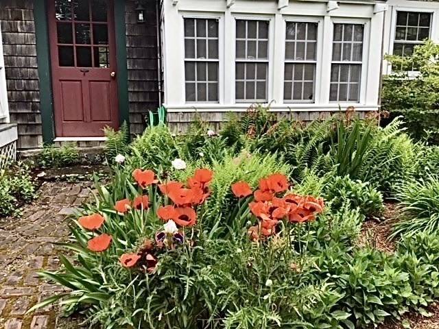 Rehoboth, MA 02769,20 County St