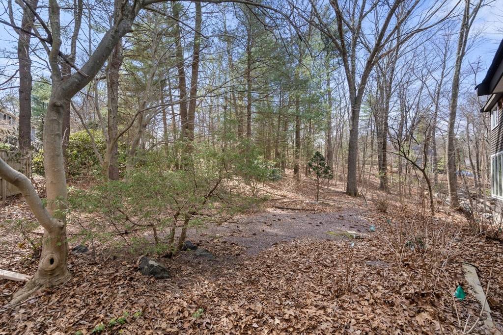 Weston, MA 02493,217 Summer St