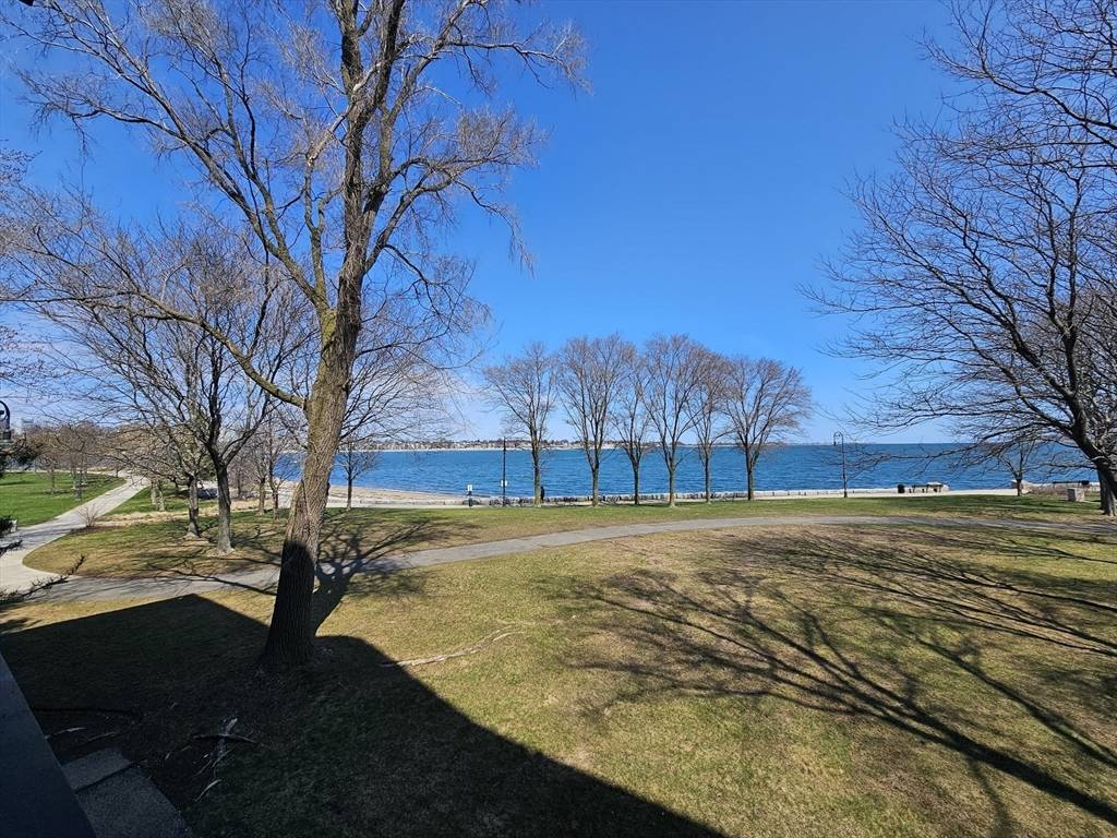 Boston, MA 02125,65 North Point Drive #206