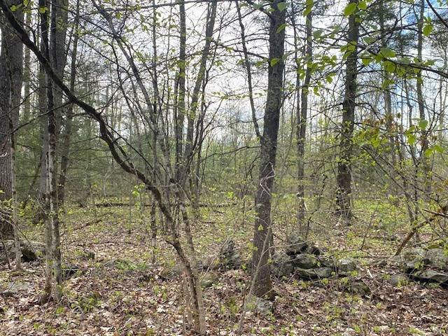 Petersham, MA 01366,7-L New Athol Rd