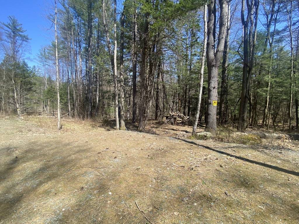 Charlemont, MA 01339,0 Schaefer Way
