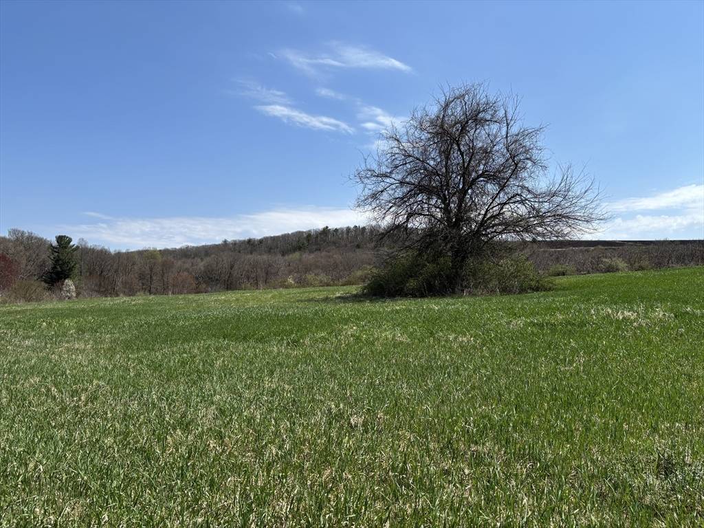 Westfield, MA 01085,103 Feeding Hills Rd