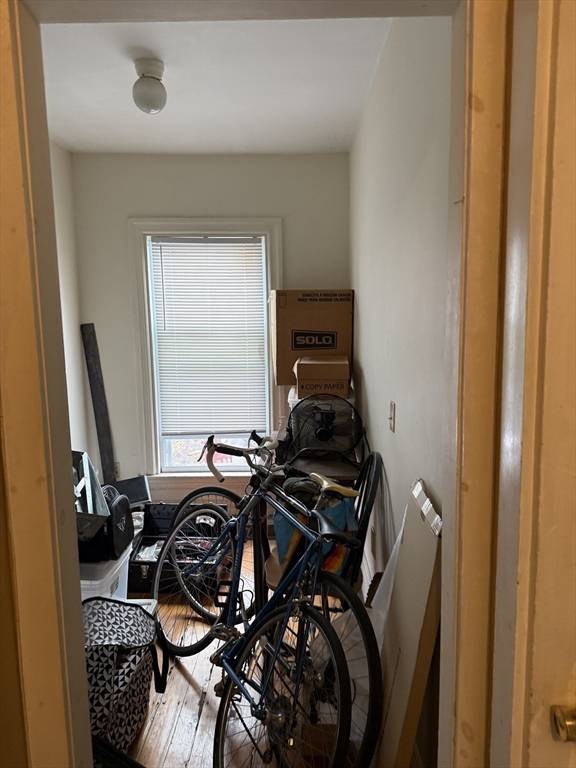 51 Norfolk St Boston, MA 02119