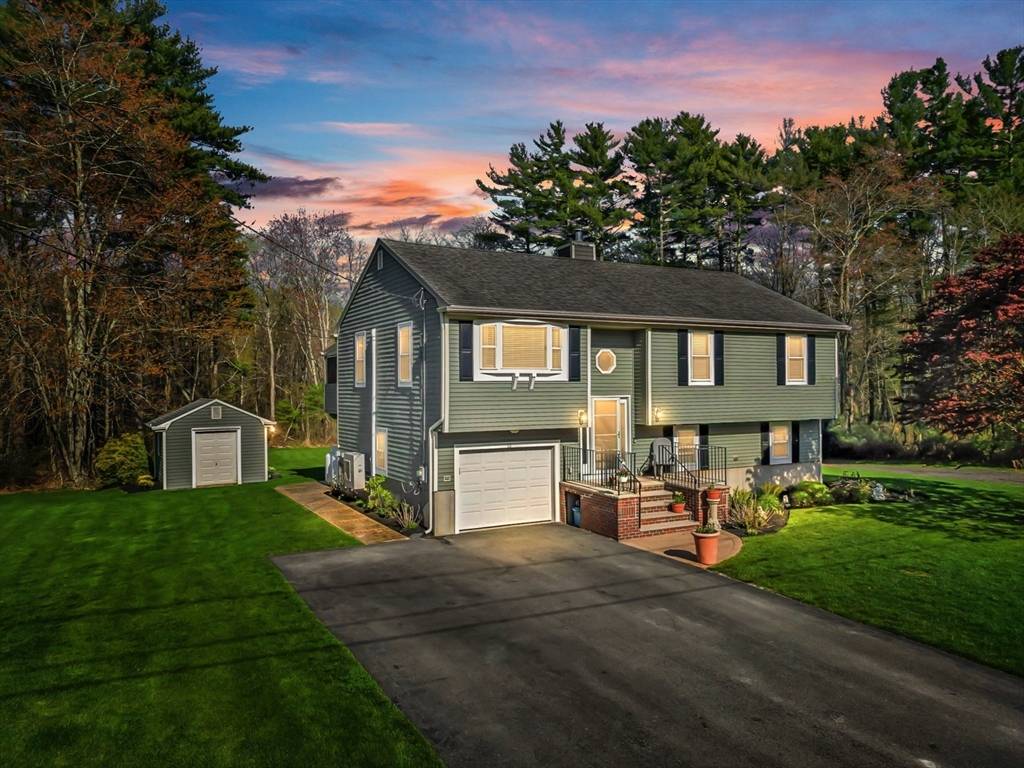 Acushnet, MA 02743,12 Elderberry