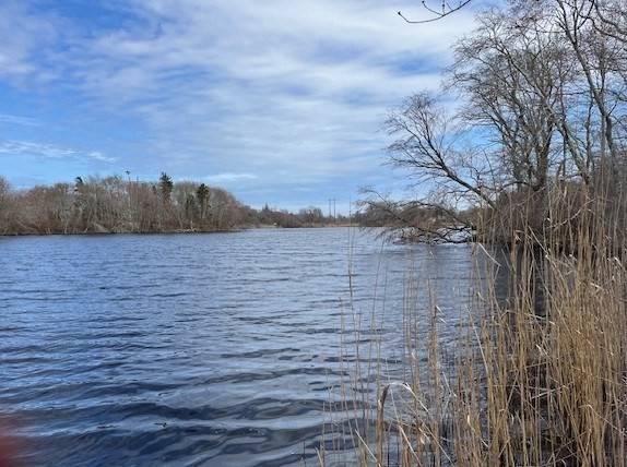 Orleans, MA 02653,32 Locust Rd