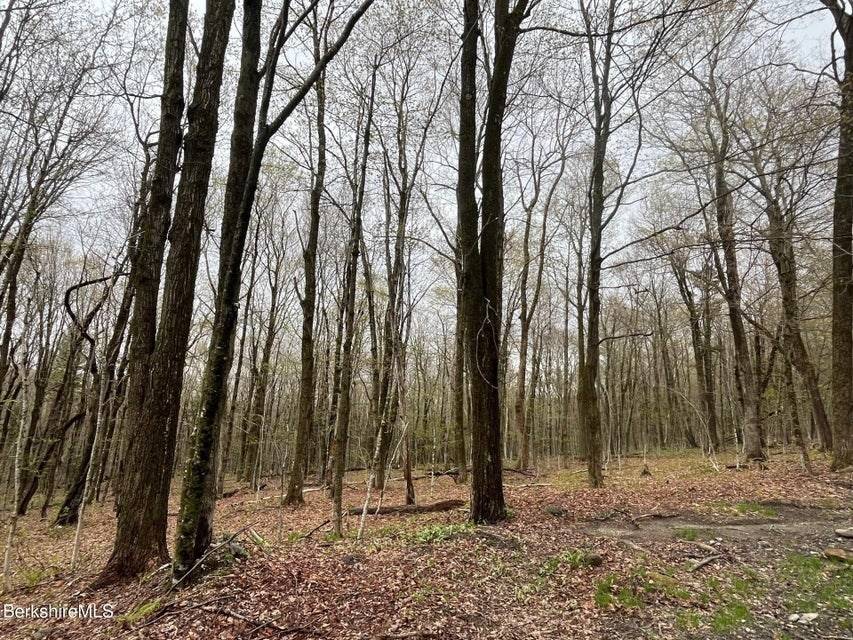 0 Manley Phelps Road Monroe, MA 01350