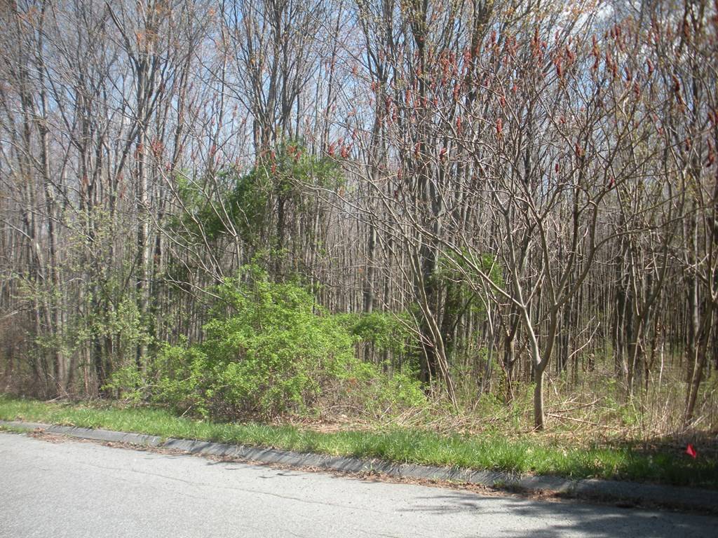 East Longmeadow, MA 01028,23 Prospect Hills Dr