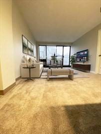 Cambridge, MA 02138,29 Concord Ave #202